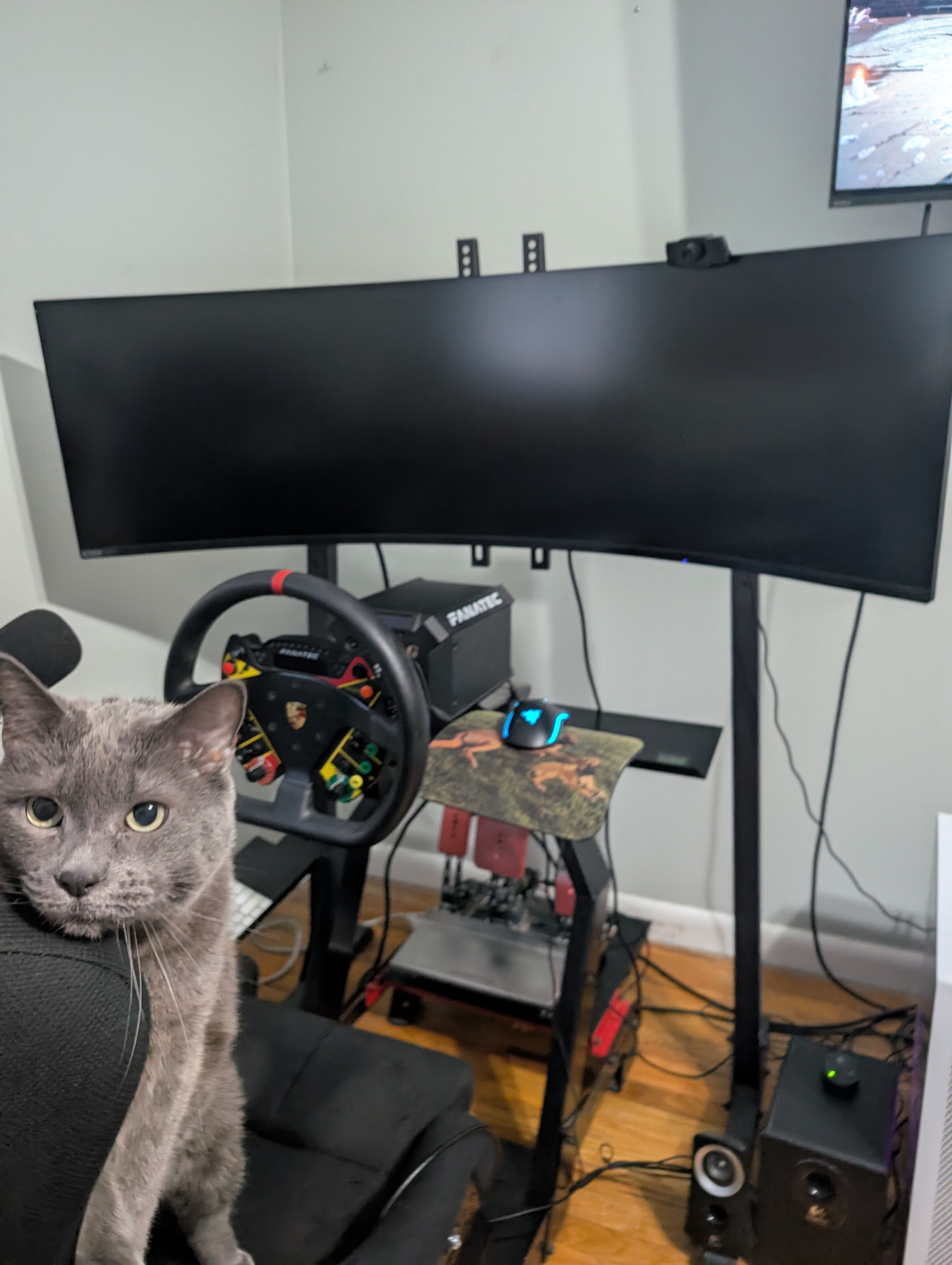 @stormmalina's MySim